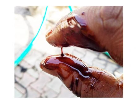 Molasses - Image 4